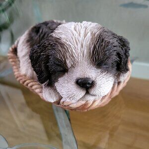 Shih Tzu in basket decor, Black & White